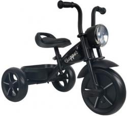 Велосипед трехколесный Chopper Eva - фото