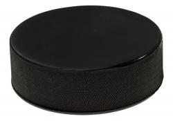 Шайба хоккейная взрослая STC 1/100 - фото