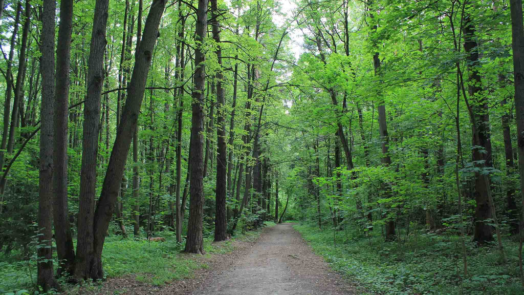 Статья_маршруты1.jpg Статья_маршруты1.jpg