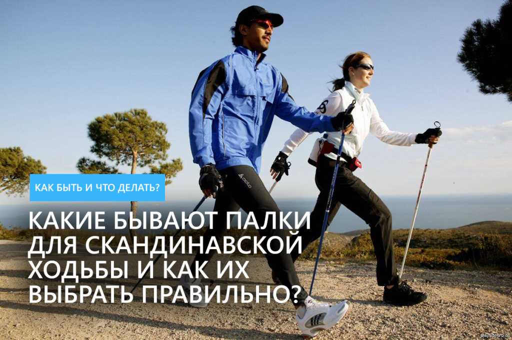 palki.jpg palki.jpg