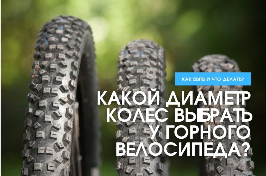 цкцукцкуцк.jpg цкцукцкуцк.jpg