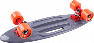 Скейтборд круизер Tech Team Fishboard 23 Print (Mini) - фото