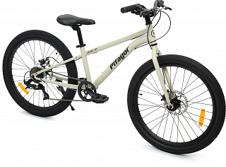 Велосипед Pifagor Level Up 24 - фото