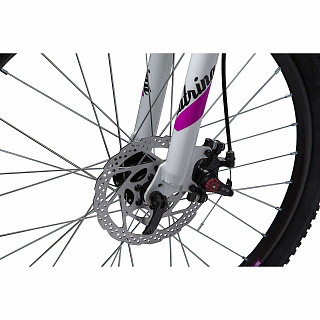 Велосипед NOVATRACK KATRINA Disc 24" (2019) - фото