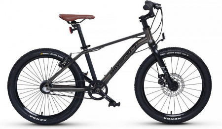 Велосипед Maxiscoo 7BIKE 20 M700 (2024) (Велосипед Детский Maxiscoo "7BIKE" 20'' M700  Графит (2024), MSC-M7-2006P)