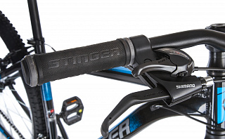 Велосипед STINGER ELEMENT STD 29" (2021) - фото