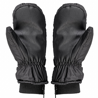 Варежки горнолыжные White Owl Pro Mitt Mns, мужские - фото