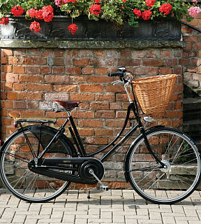 Велосипед Pashley Princess Sovereign 5 26 - фото