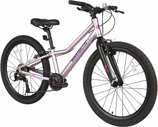 Велосипед Maxiscoo 5BIKE 24 L (2024) - фото