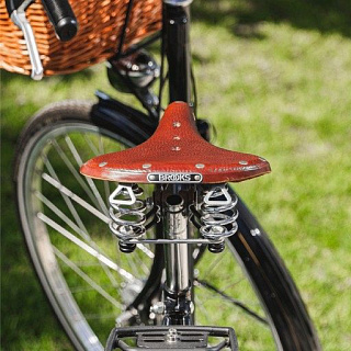 Велосипед Pashley Princess Sovereign 5 28 - фото