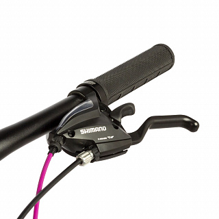 Велосипед Stinger Liberty Evo 28" (2021) - фото