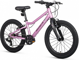 Велосипед Maxiscoo 5Bike 20 L (2025) - фото